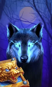 Book Of The Night Wolf